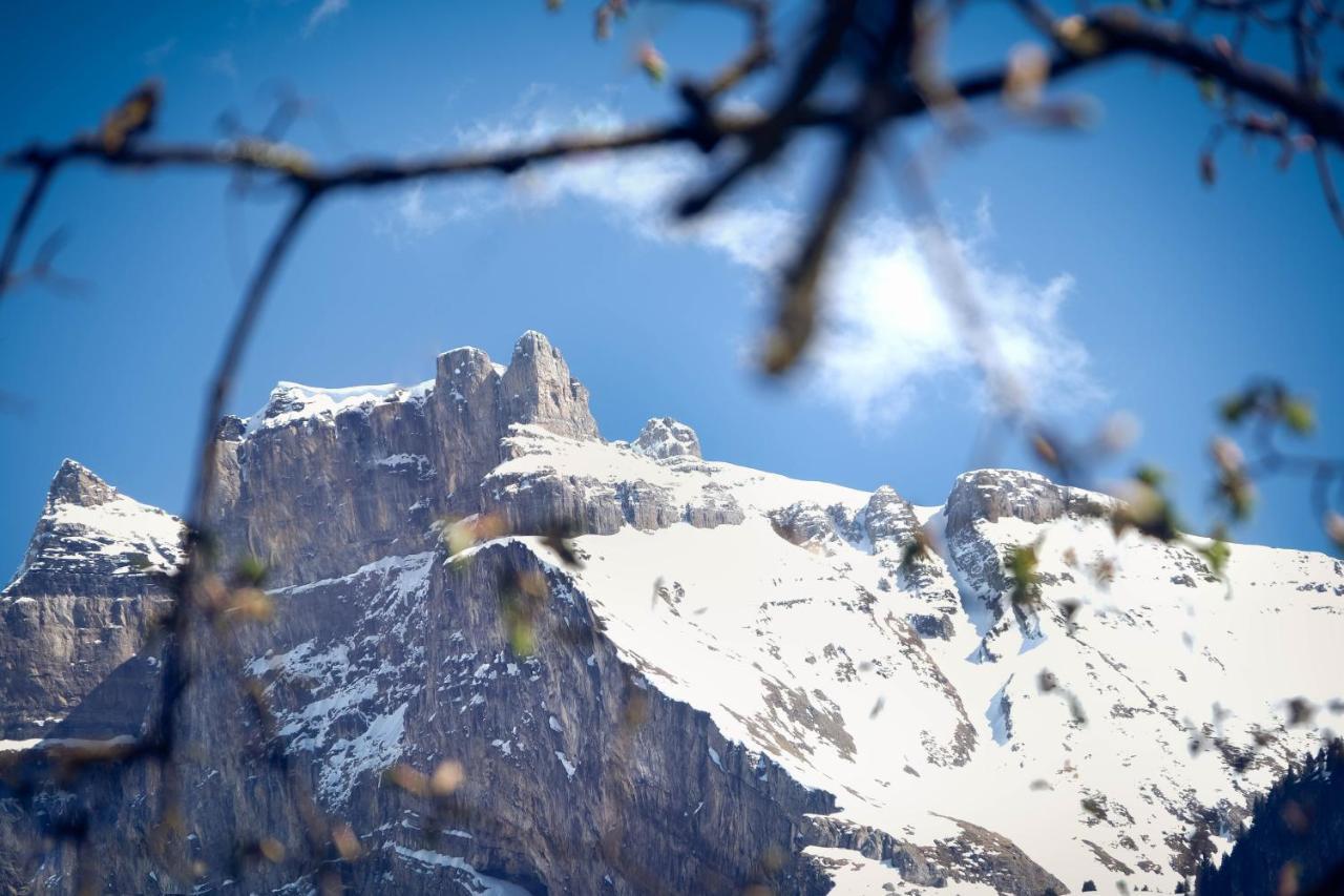 Alpina