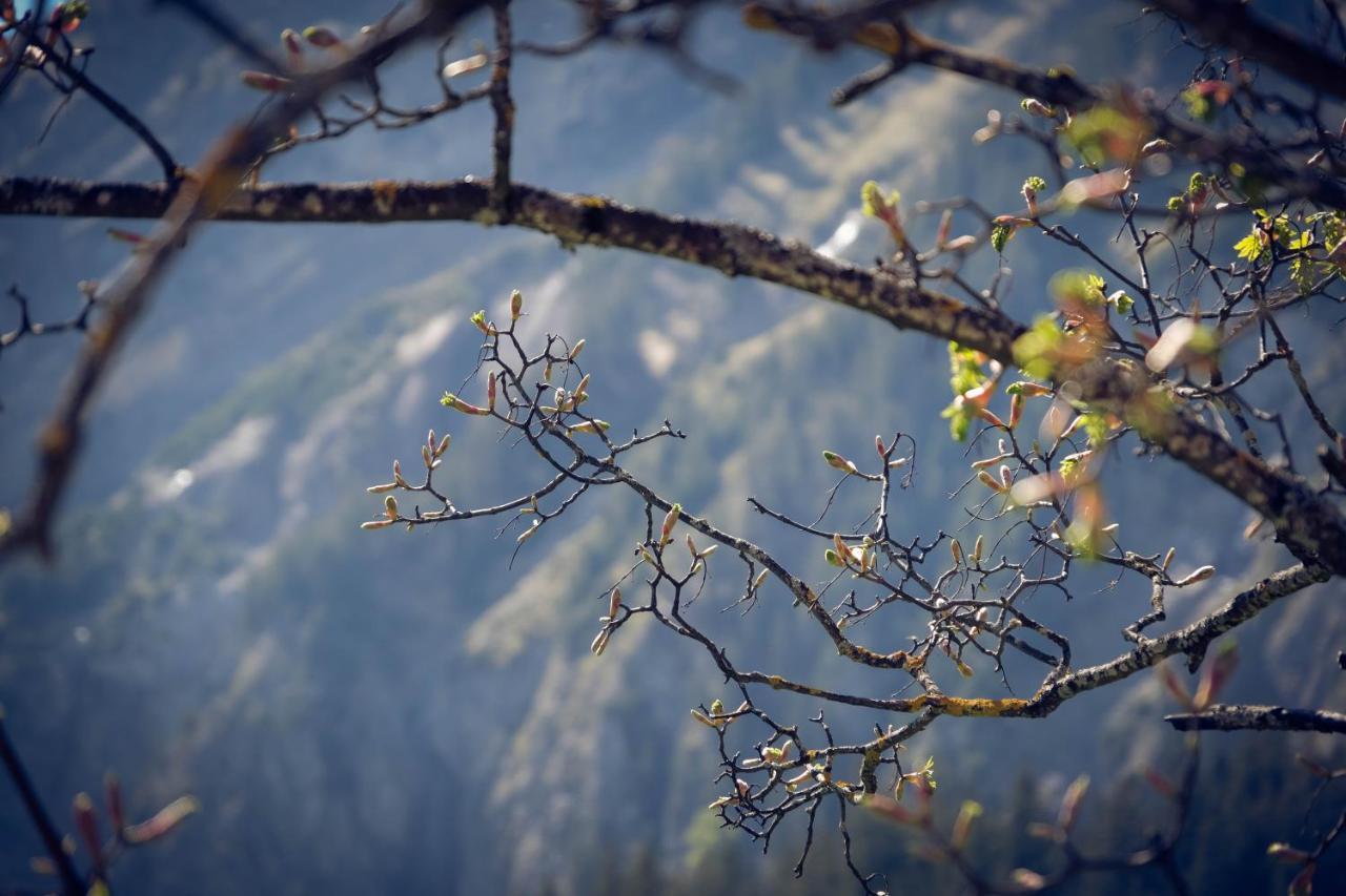 Alpina 2* Kandersteg