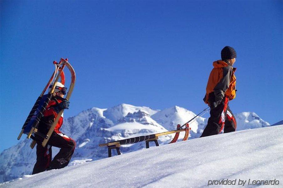 Hotel Alpina Kandersteg