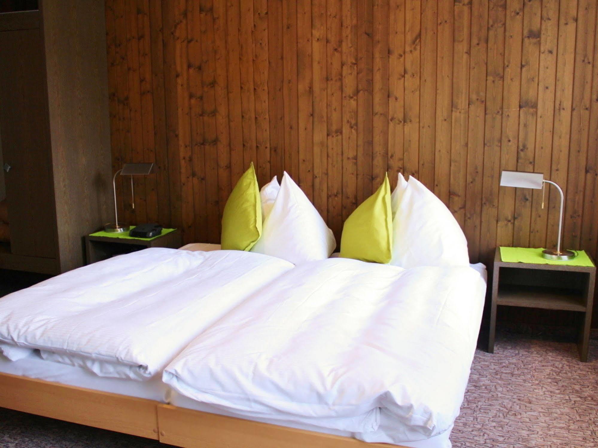 Hotel Alpina 2*